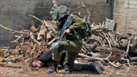Maduro reitera todo apoyo a Palestina y rechaza crímenes de Israel