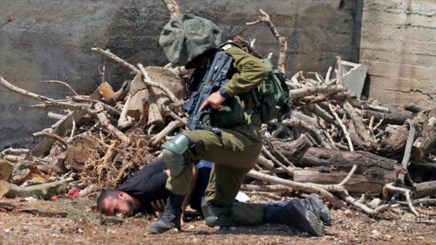 Maduro reitera todo apoyo a Palestina y rechaza crímenes de Israel
