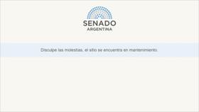 Senado de Argentina, objeto de ataque cibernético por piratas 