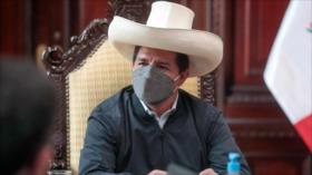 Herrera: Congreso peruano siempre torpedea Gobierno de Castillo