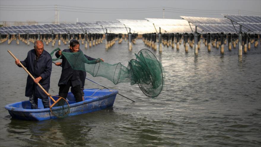 Pescadores chinos en Yangzhou, en la provincia china de Jiangsu, 14 de noviembre de 2018. (Foto: AFP)