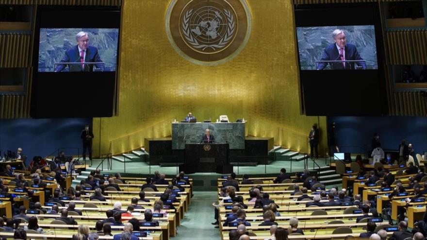 Luque: ONU es incapaz de intervenir en asuntos internacionales