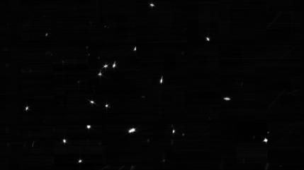 Vean primeras imágenes capturadas por telescopio James Webb de NASA