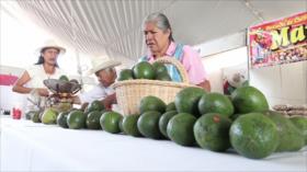 AMLO ve conspiración detrás de veto a aguacate