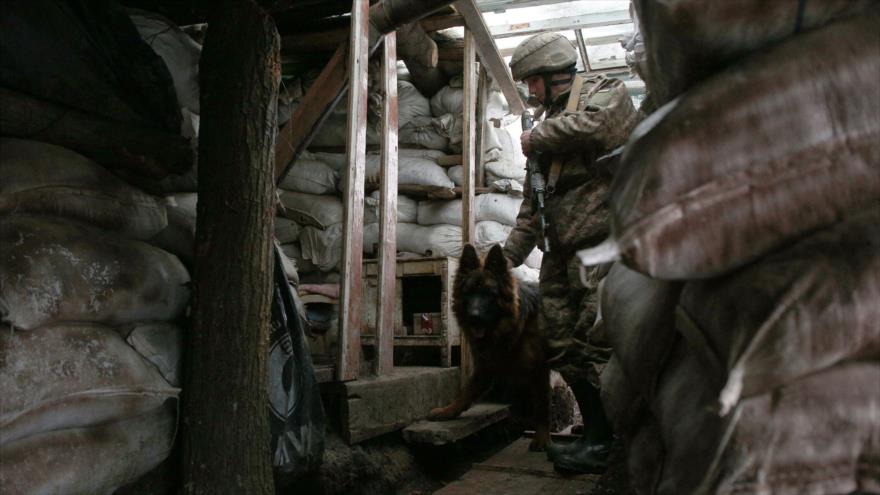 Militar ucraniano y su perro entran en una cueva en la región separatista de Lugansk, en el este de Ucrania, 21 de enero de 2022. (Foto:AFP)