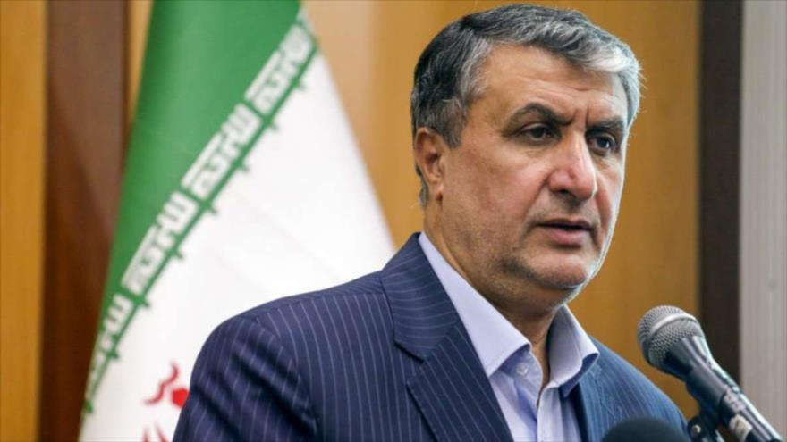 Jefe de la Organización de Energía Atómica de Irán (OEAI), Mohamad Salami.