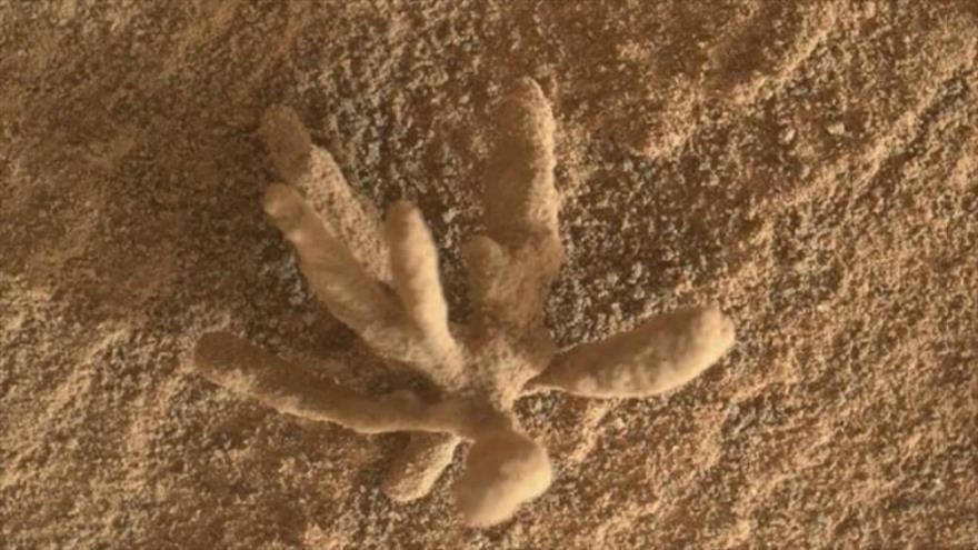 Una diminuta flor, compuesta por minerales, hallada en la superficie de Marte. (Foto: Curiosity)