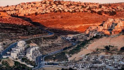 Israel erige colonia en una “reserva natural” en Cisjordania 