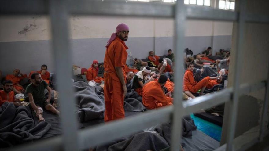 Informe revela: EEUU envía reclusos de Daesh de Siria a Ucrania | HISPANTV