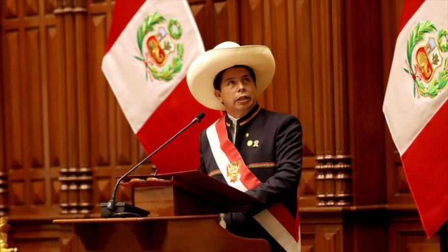 Herrera: Derecha peruana intenta boicotear el Gobierno de Castillo 