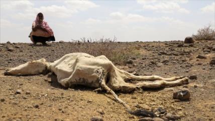 Vídeo: Conflicto de Ucrania empeora situación de vida de africanos