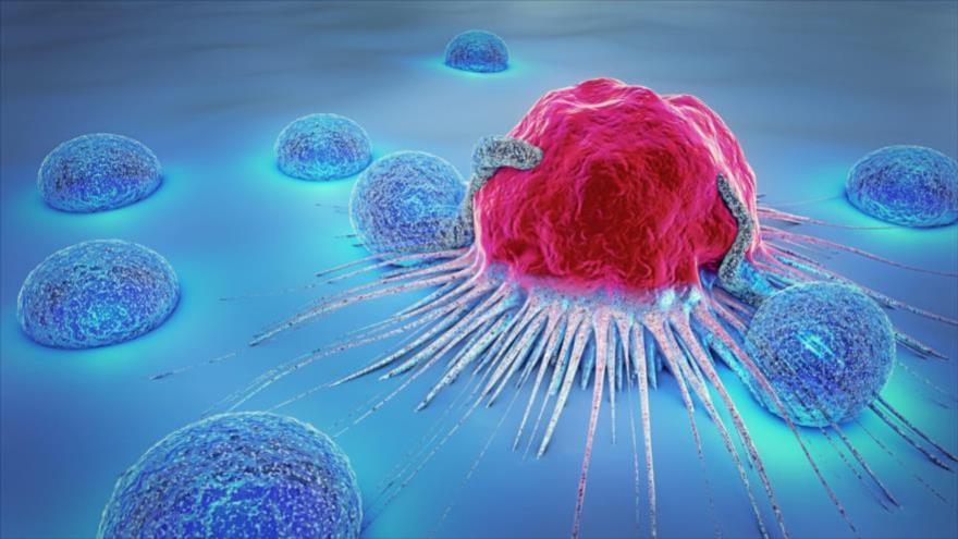 Descubren nuevo tratamiento de cáncer a base de desechos celulares | HISPANTV