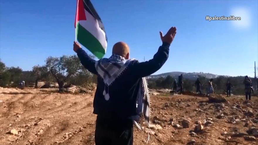 Apartheid israelí (Parte 2) | Causa Palestina