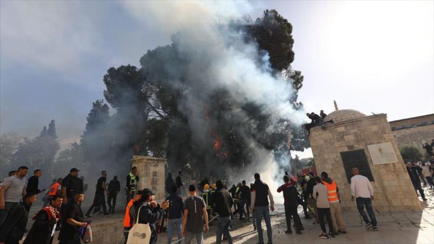 Decenas de palestinos heridos en el 6.º día de agresión en Al-Aqsa | HISPANTV