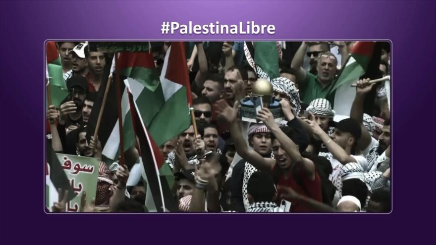Palestina será libre, así lo aseguran los internautas | Etiquetaje