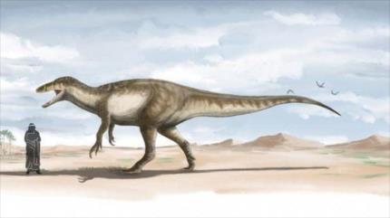Hallan restos de uno de últimos dinosaurios carnívoros en Argentina