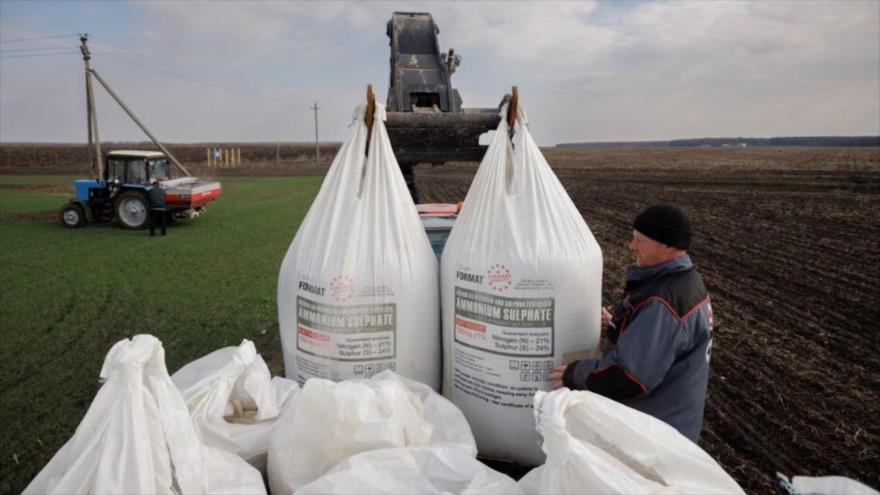 Guerra en Ucrania y su impacto en el precio de trigo | HISPANTV