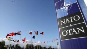 Análisis: Suecia y Finlandia tocan la puerta de OTAN, ¿y ahora qué?
