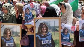 Vídeo: No hubo combates antes del asesinato de reportera palestina