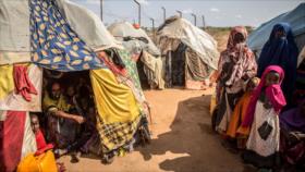 ONU alerta: 750 000 personas afrontan hambre y muerte en el mundo