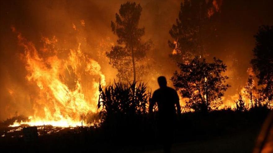 Una abrasadora ola de calor provoca incendios forestales en Europa | HISPANTV