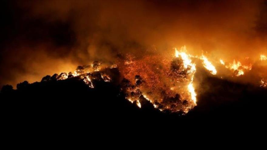 Un incendio forestal en Benahavis, en la provincia de Málaga, Andalucía, España, 8 de junio de 2022. (Foto: Reuters)