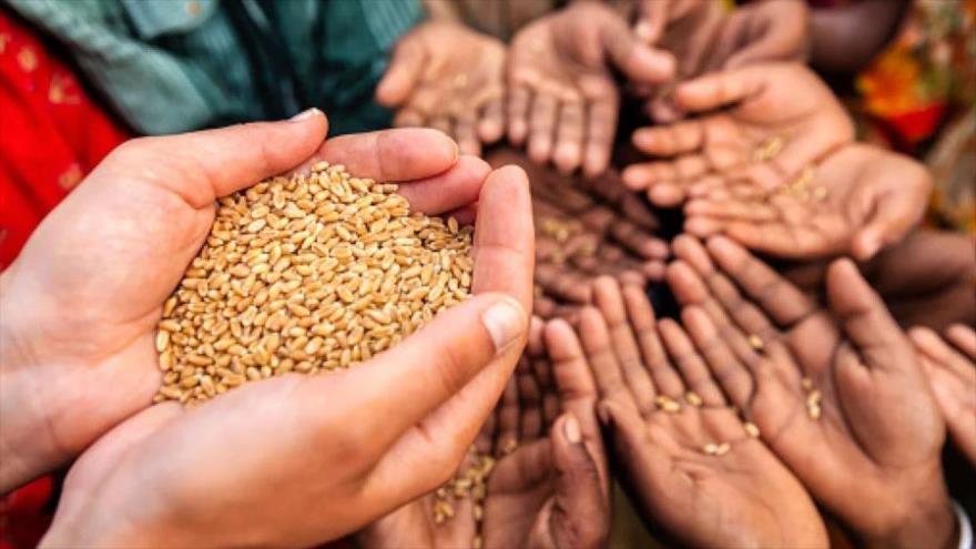 Rusia culpa al Occidente de crear la crisis alimentaria global