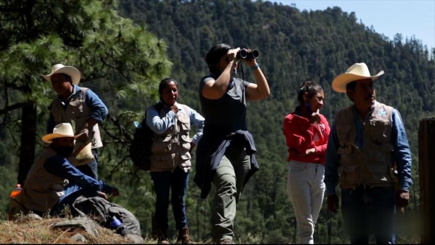 México capacita Turismo de Naturaleza en cooperación con Guatemala