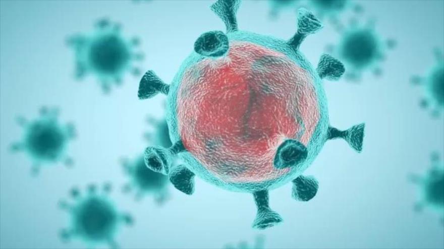 Variantes de coronavirus evaden primera barrera defensiva de su huésped