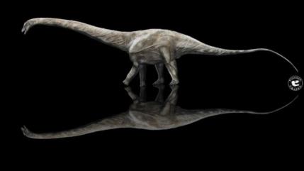 ¿Cuáles son los dinosaurios más grandes que habitaron la Tierra?