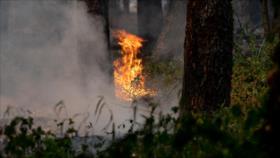 Incendio forestal en Francia quema más de 1240 hectáreas de tierras