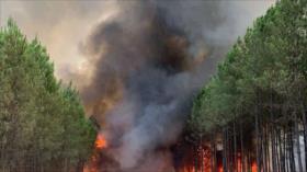 Vídeo: Incendios forestales arrestan 6000 hectáreas en Francia 
