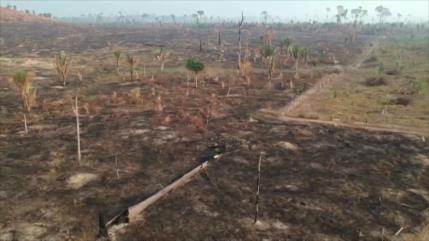 Deforestación en la selva amazónica de Brasil alcanza un nivel récord