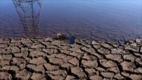 Sequía azota al Reino Unido en plena crisis energética por Ucrania