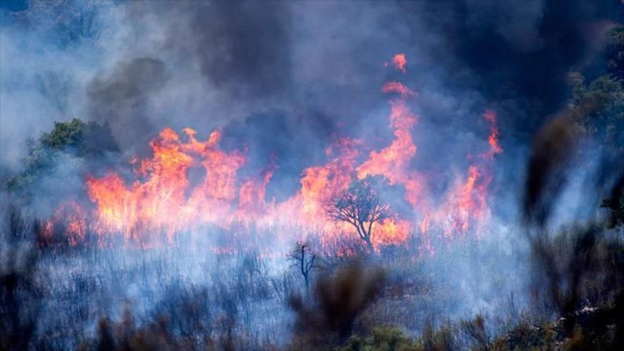 España en crisis: Incendio quema 8000 hectáreas de bosques