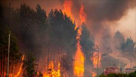 Récord histórico de 660 000 hectáreas quemadas en 2022 en Europa