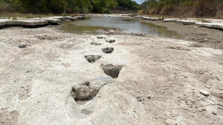 Se han descubierto las huellas de un dinosaurio de 18 metros en el lecho de un río seco en el Parque Estatal del Valle de los Dinosaurios en Texas, EE.UU..