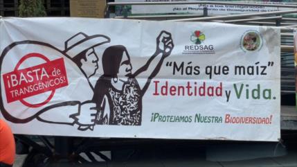 Campesinos guatemaltecos exigen cese a comercialización de los transgénicos
