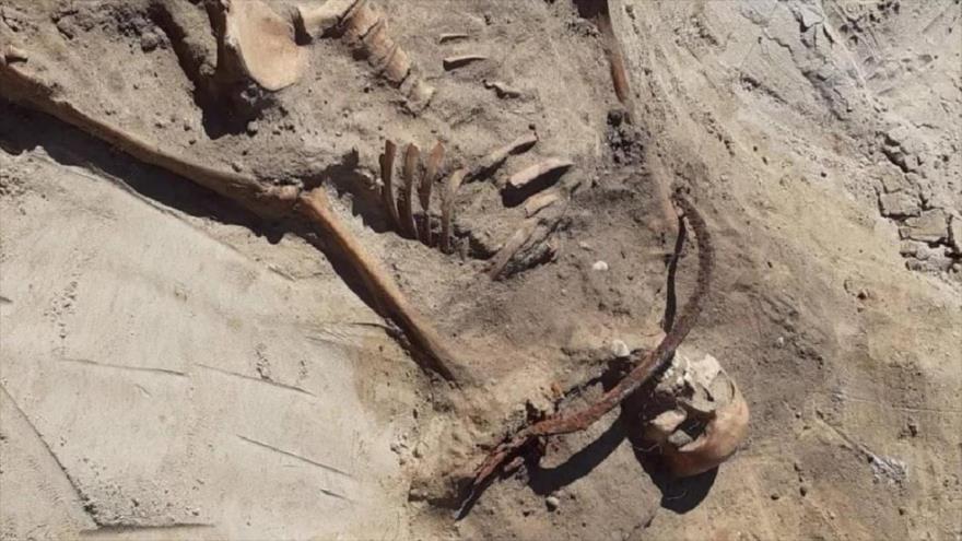 Esqueleto desenterrado cerca de la ciudad de Bydgoszcz, en Polonia, con vestigios de un rito contra vampiros.