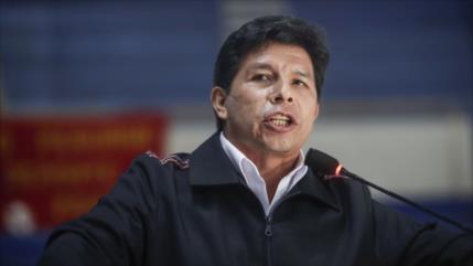 Defensa de Castillo alerta de amenazas “reales” contra el presidente