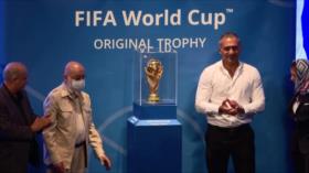 El trofeo de la Copa Mundial de FIFA, El mar de arcoíris, Rescate de patrimonio cultural, Prótesis para pingüinos | El Toque