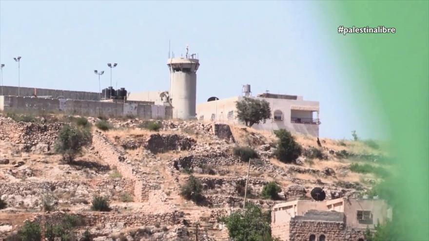La ciudad de Hebrón, Al Jalil | Causa Palestina