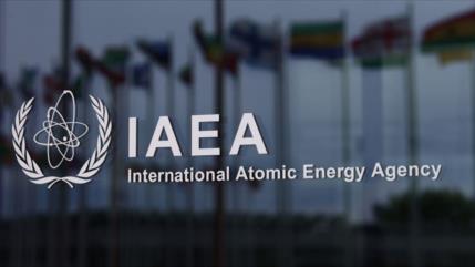 “AIEA es una organización dependiente del dinero del Occidente”