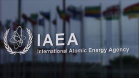 “AIEA es una organización dependiente del dinero del Occidente”