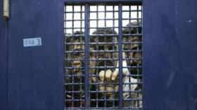 Informe: Israel mantiene más de 20 años en prisión a 283 palestinos