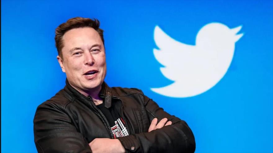 Director ejecutivo de Telsa, Elon Musk, junto con un logotipo de Twitter. (Foto: Getty Images)