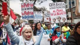 “OEA, basta de intervenir”: Perú marcha contra injerencia almagrista