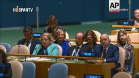 Palestina y Asamblea General de la ONU | Causa Palestina