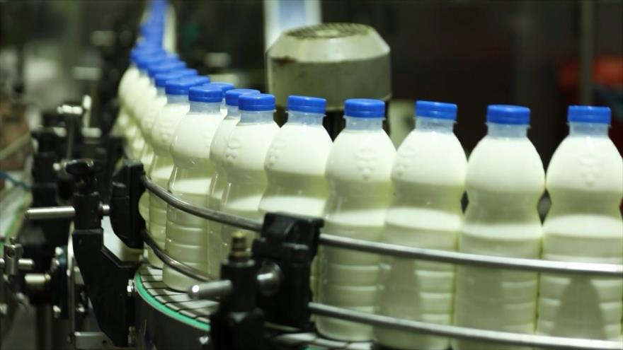 Industria lechera y láctea iraní | Bazaar
