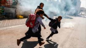 Israel contra las ONG palestinas | Causa Palestina